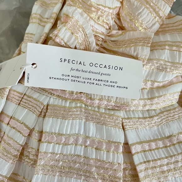 NWT Janie and Jack Metallic Striped Organza Dress - Picture 3 of 5